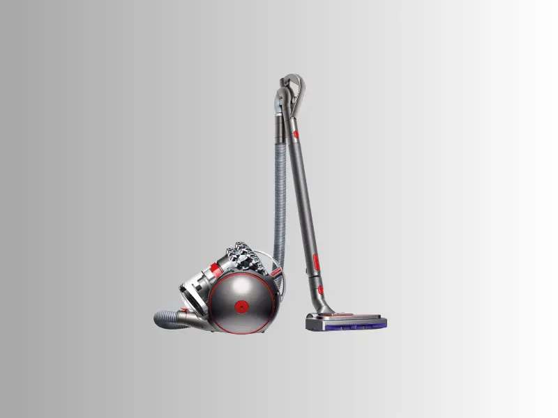 Dyson Cinetic Big Ball Absolute 2 elektrikli süpürge incelemesi