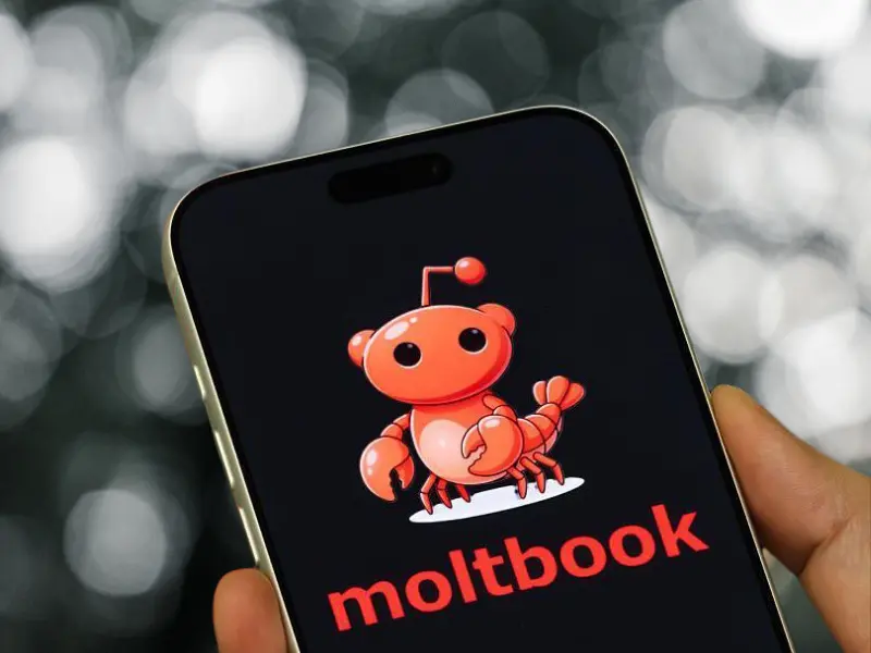 Yapay zekaya özel sosyal medya güvenlik alarmı verdi