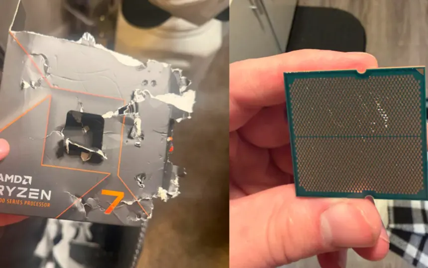 Bir köpek AMD Ryzen 7 7700X işlemciyi kemirdi