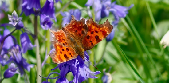 Oppo Find X9 Ultra ile gerçek kullanım deneyimi