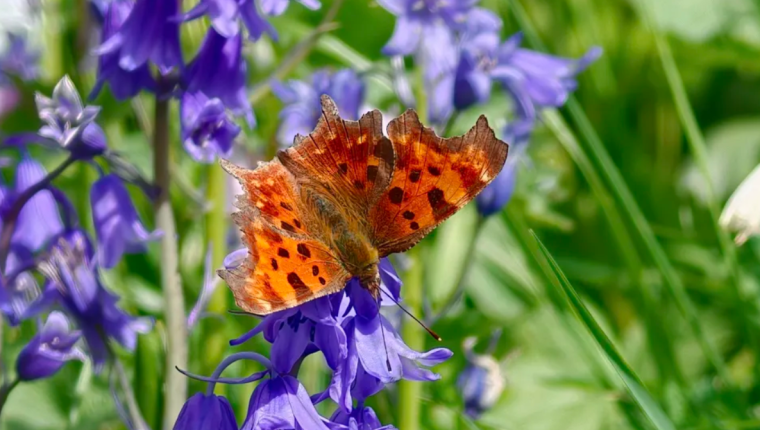 Oppo Find X9 Ultra ile gerçek kullanım deneyimi