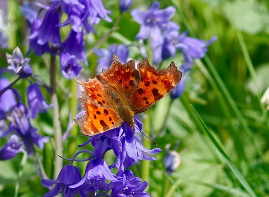 Oppo Find X9 Ultra ile gerçek kullanım deneyimi