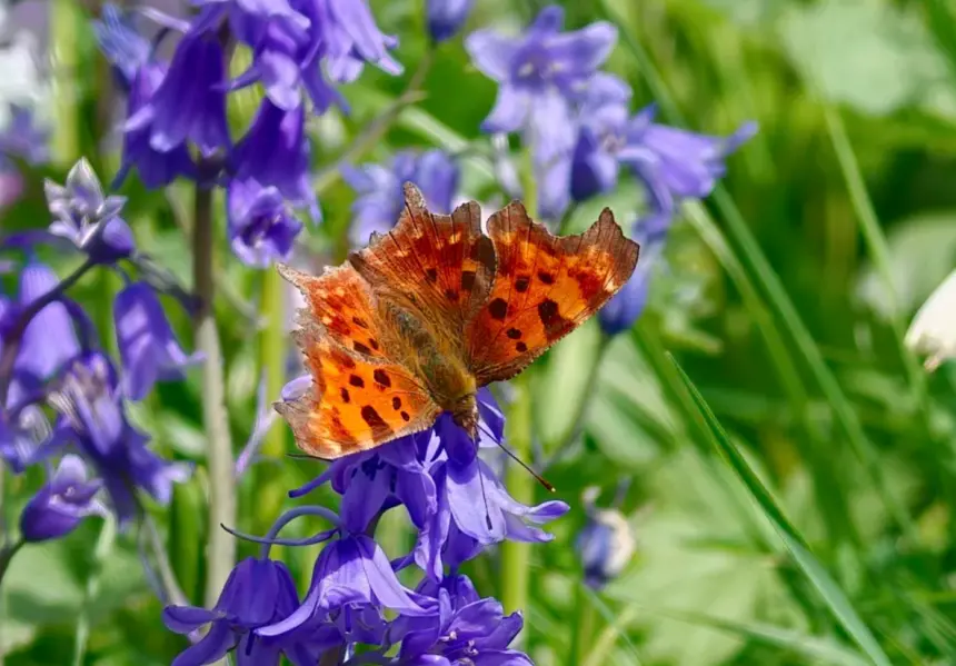 Oppo Find X9 Ultra ile gerçek kullanım deneyimi