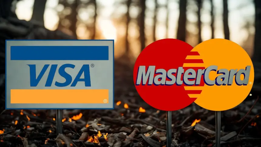 Rekabet Kurulu'nun Mastercard ve Visa soruşturmasında yeni gelişme