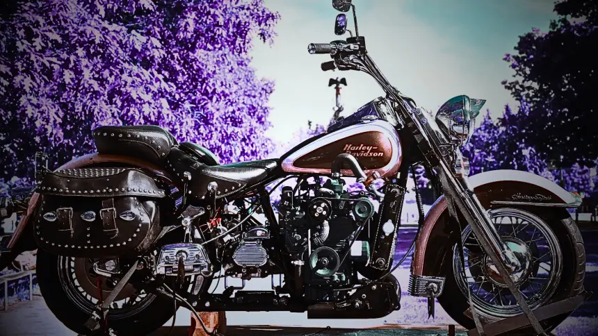 Harley kızartma yağıyla çalıştı: motor gürledi ama ruh incindi mi?