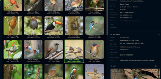 LAP Photo Manager vs Windows Fotoğraflar: Hangisi gerçekten daha iyi?